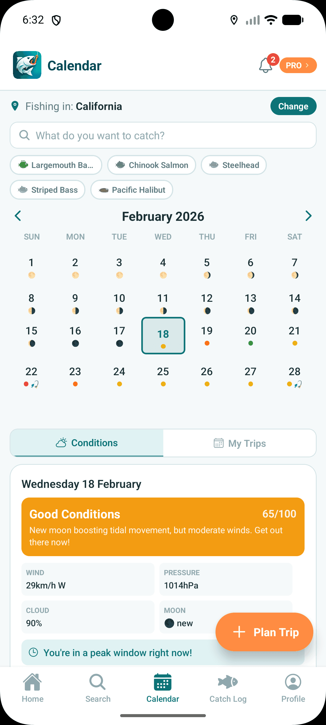 February calendar with moon phases